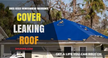 GEICO Homeowners Insurance: What's Covered for Leaking Roofs?