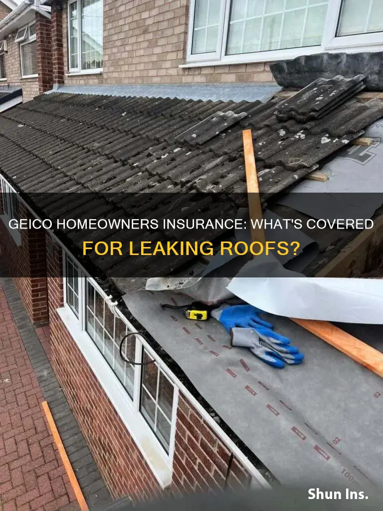 does geico homeowners insurance cover leaking roof