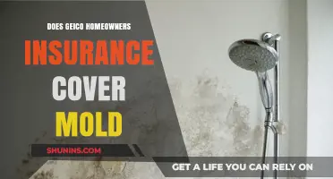 GEICO Homeowners Insurance: Does It Cover Mold?