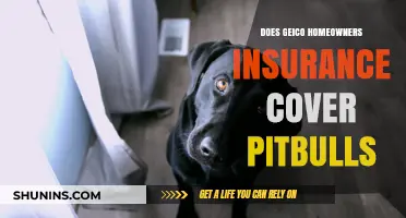 Geico Home Insurance: Are Pitbulls Covered?