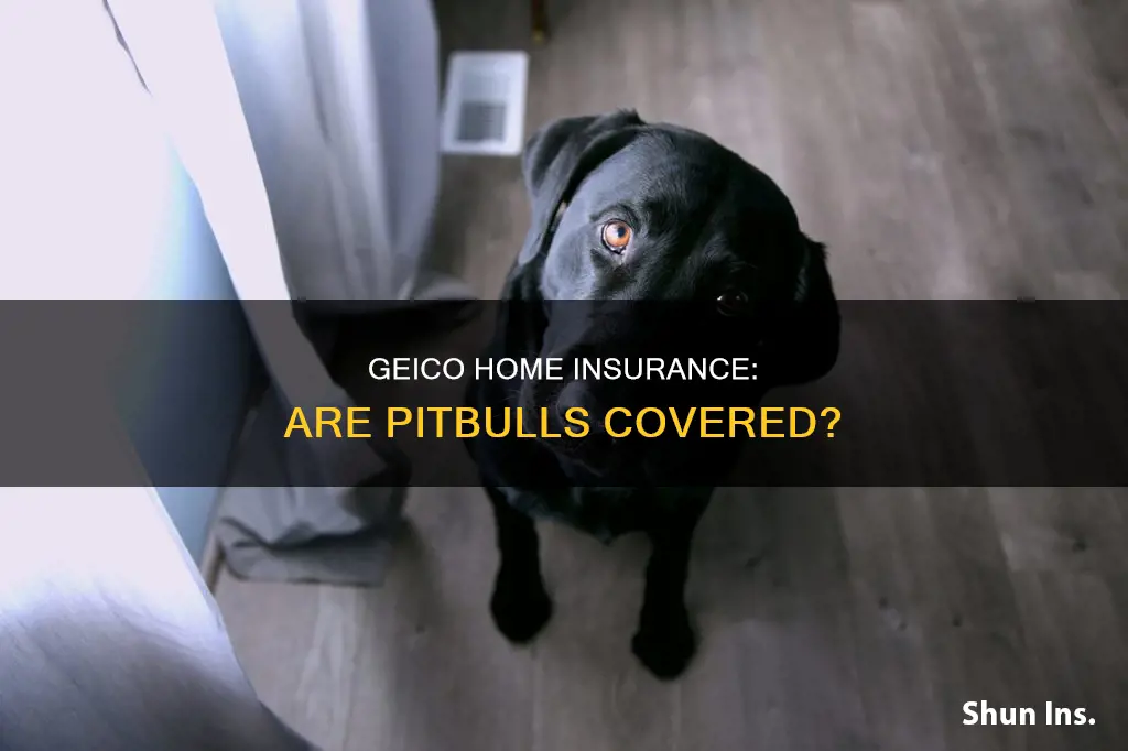 does geico homeowners insurance cover pitbulls