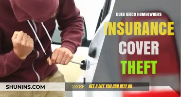 Geico Homeowners Insurance: What's Covered in Theft?