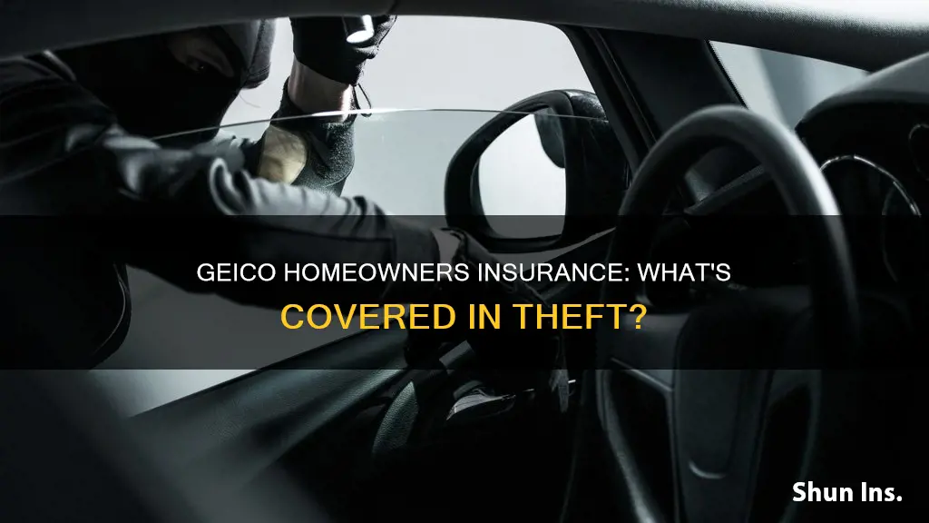 does geico homeowners insurance cover theft