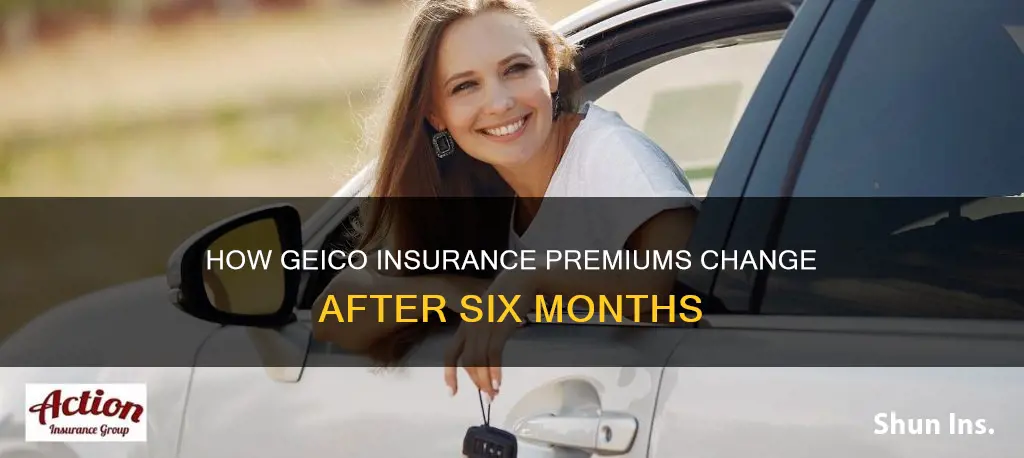 does geico insurance go down after 6 months