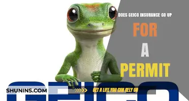 Geico Insurance: Permit Impact on Premiums