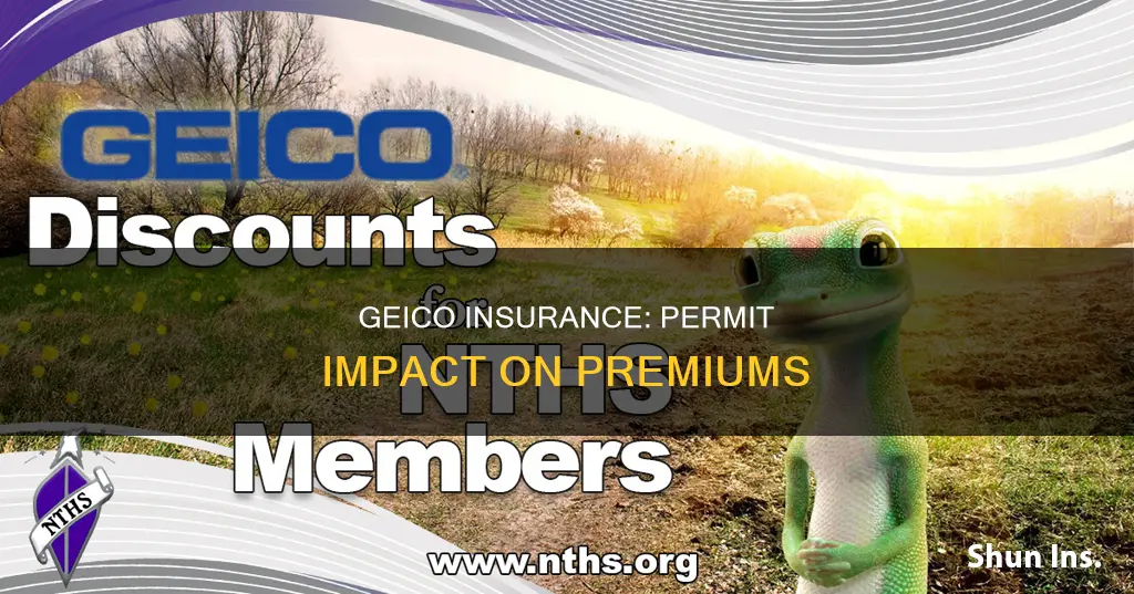 does geico insurance go up for a permit
