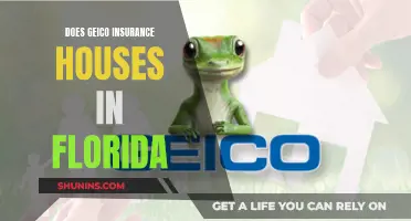 GEICO: Florida Home Insurance Options