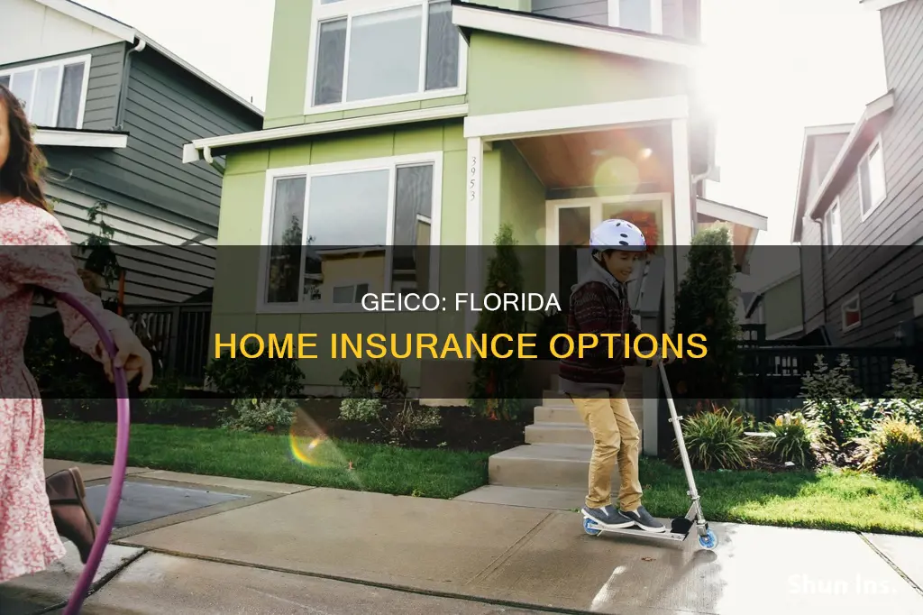 does geico insurance houses in Florida