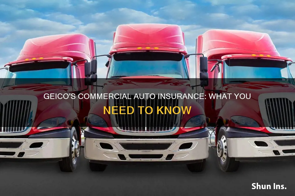 does geico insure commercial vehicles