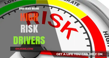 High-Risk Drivers: Does GEICO Offer Insurance Coverage?