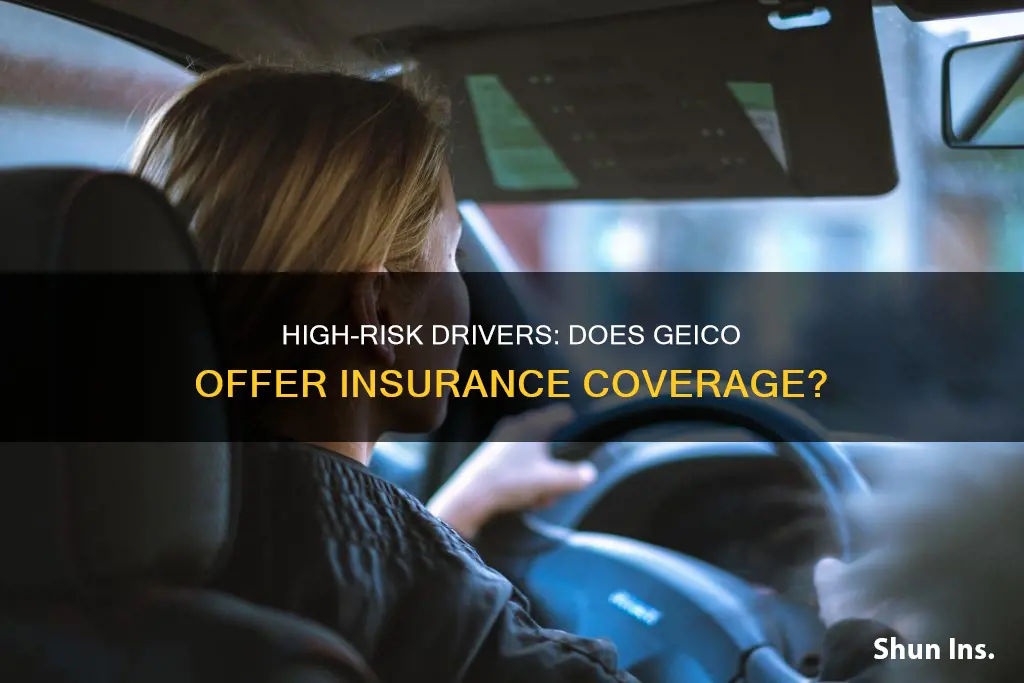 does geico insure high risk drivers