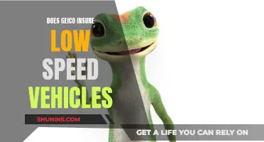 GEICO: Insuring Low-Speed Vehicles?