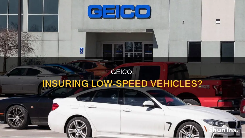 does geico insure low speed vehicles