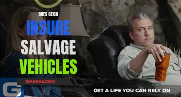 GEICO: Salvage Vehicle Insurance