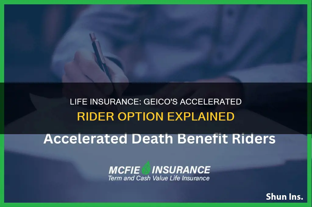 does geico life insurance have accelerated rider