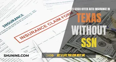 Geico Auto Insurance: SSN-Free Coverage in Texas