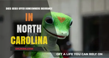 Geico: Home Insurance Options in North Carolina