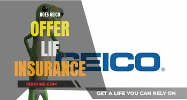 Geico: Life Insurance Options and Benefits Explored