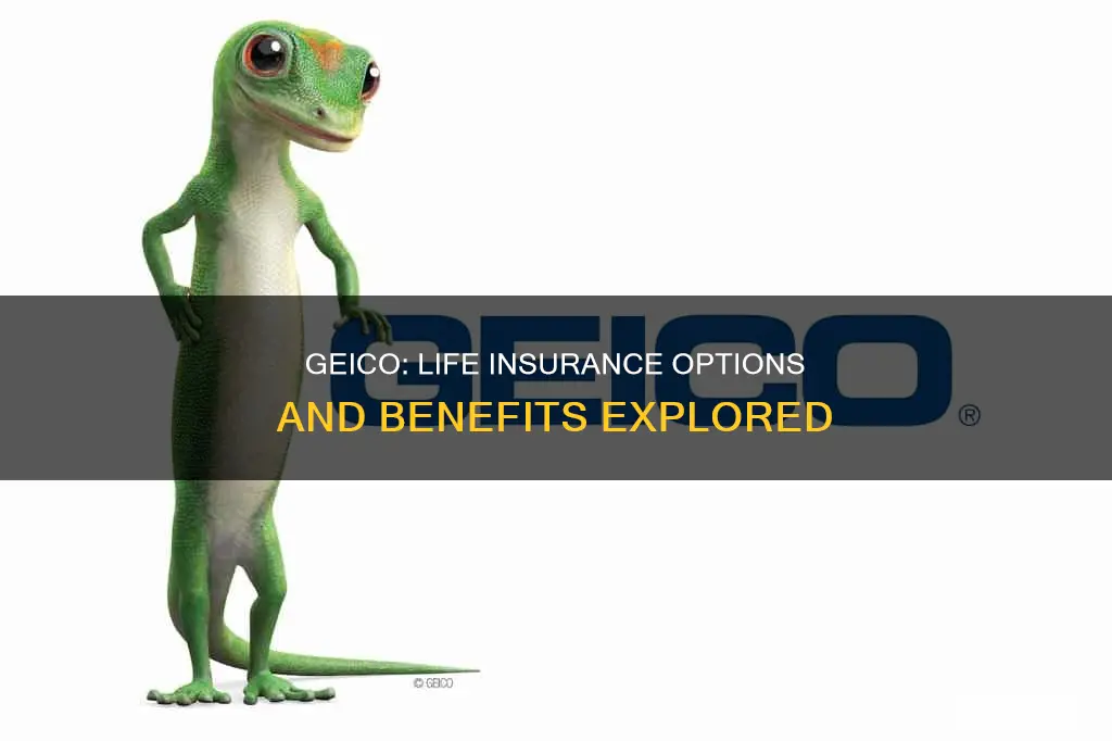 does geico offer lif insurance