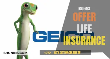 Life Insurance: Geico's Offer and Your Options