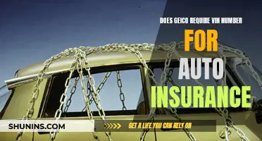 GEICO Auto Insurance: Is a VIN Number Necessary?