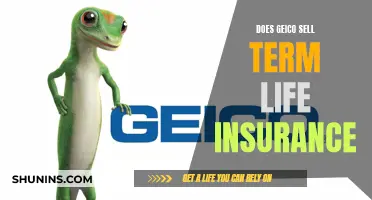 Term Life Insurance: Does GEICO Offer This?