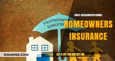Geico's Florida Homeowners Insurance: Is It Right for You?
