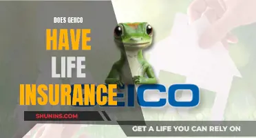 Geico's Life Insurance: What You Need to Know