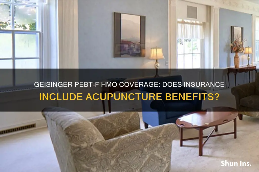 does geisinger pebtf hmo c over accupunture and insurance