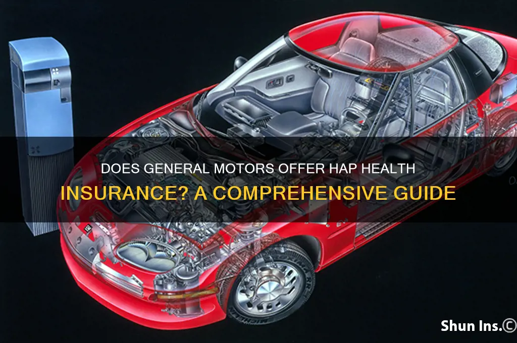 does general motors have hap health insurance