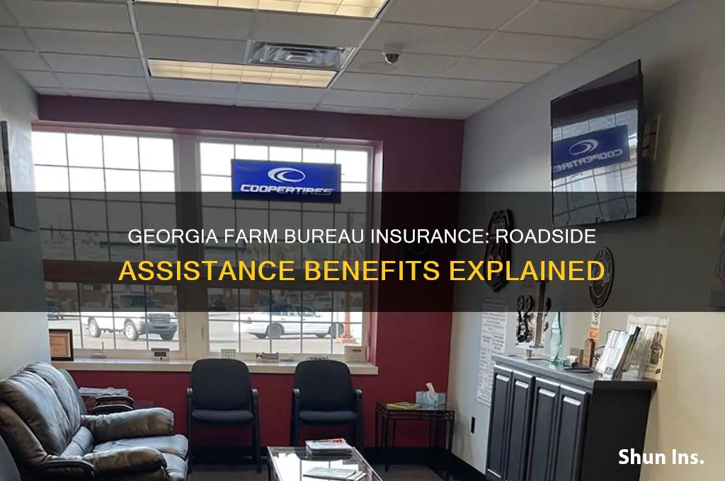 does georgia farm bureau insurance have roadside assistance