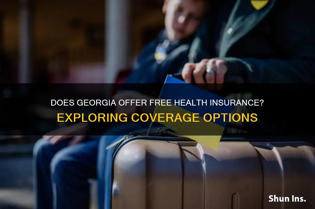 does georgia have free health insurance