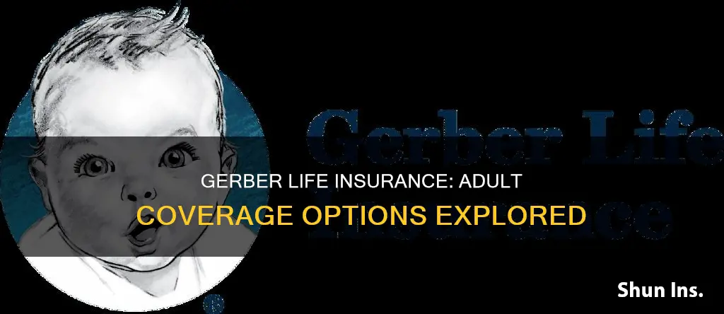 does gerber have life insurance for adults