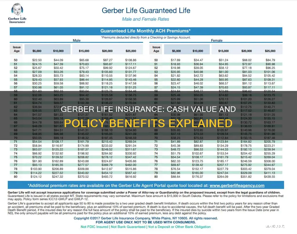 does gerber life insurance have cash value