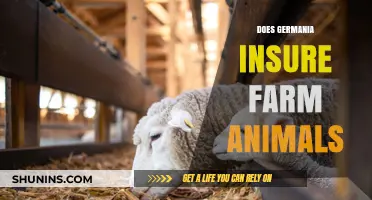 Does Germania Offer Farm Animal Insurance? Exploring Coverage Options