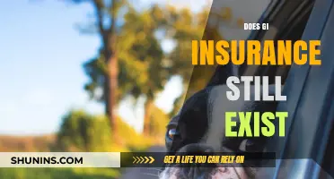 Does GI Insurance Still Exist? Exploring Its Current Status and Relevance