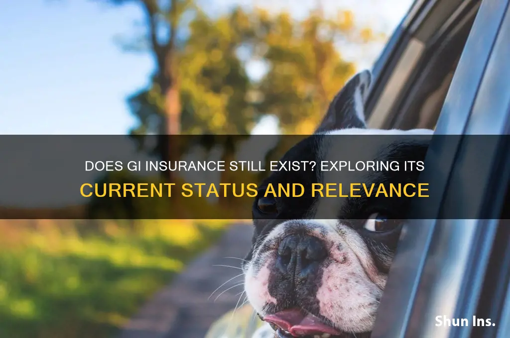 does gi insurance still exist