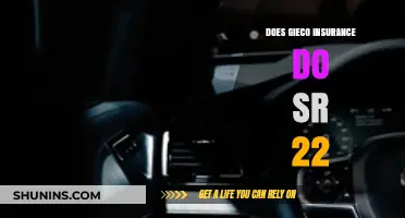 Does Geico Offer SR-22 Insurance? What You Need to Know