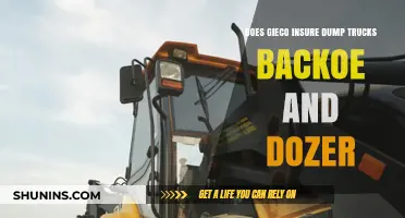 Does GEICO Insure Dump Trucks, Backhoes, and Bulldozers? Find Out!