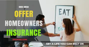 Explore GEICO: Homeowners Insurance Options and Coverage