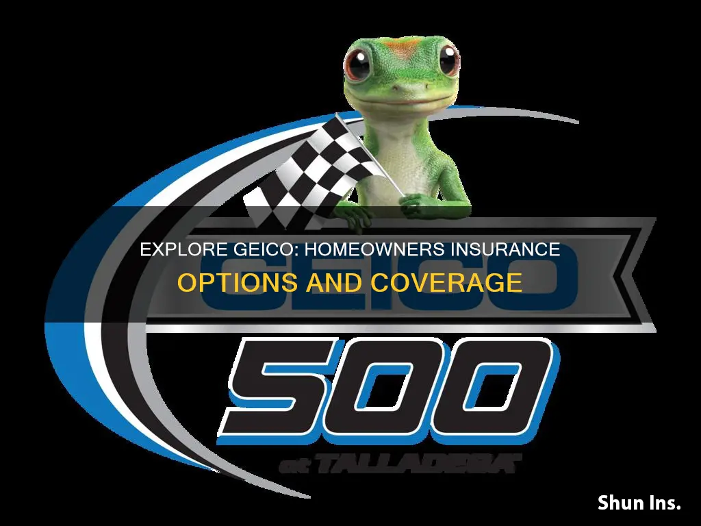 does gieco offer homeowners insurance