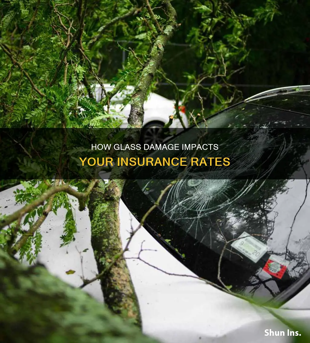 does glass damage raise insurance rates
