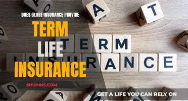 Globe Insurance: Term Life Insurance Options and Availability