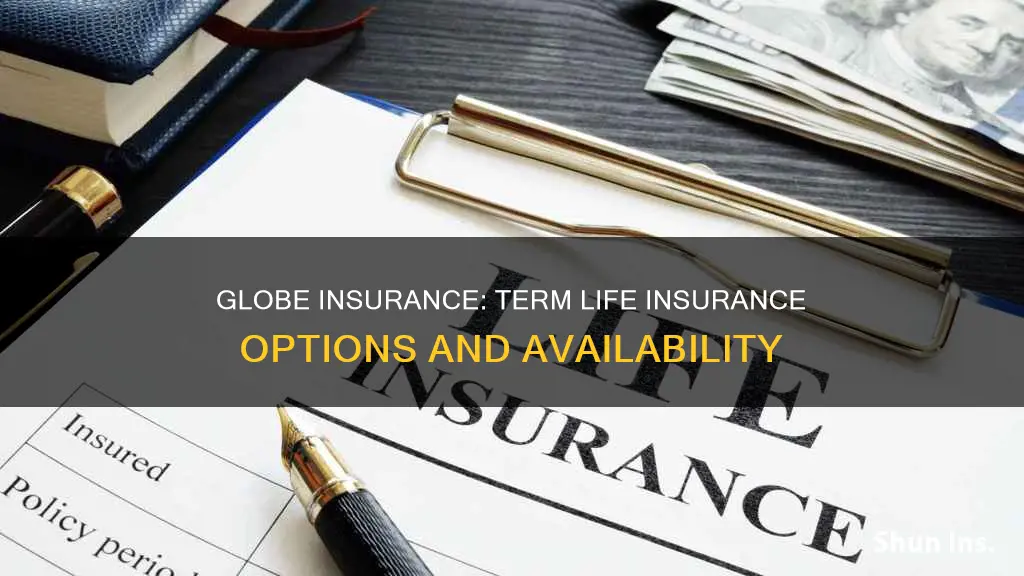 does globe insurance provide term life insurance