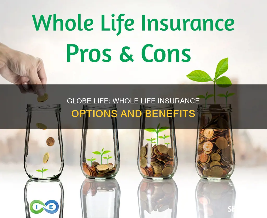 does globe life have whole life insurance