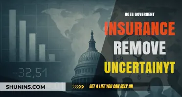Government Insurance: Reducing Uncertainty or Creating New Challenges?