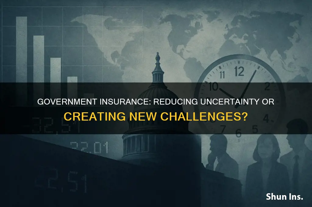 does governent insurance remove uncertainyt