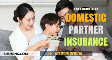 Does Government Offer Domestic Partner Insurance? Exploring Benefits and Eligibility