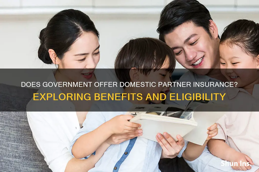does government do domestic partner insurance