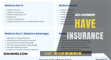 Does the Government Have Insurance? Exploring Public Sector Coverage and Risks
